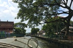 Blick vom Khlong Boot auf die Umgebung.
