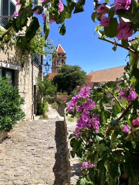 Blütenpracht am Rande der Stadt unterhalb der Felswände. Blütenpracht am Rande der Stadt unterhalb der Felswände.