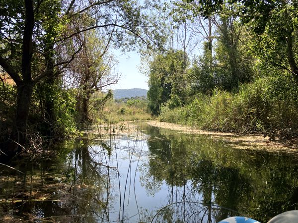 Schilfkanal und Dschungel zum Podgora-See. Schilfkanal und Dschungel zum Podgora-See.