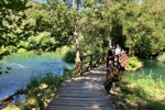 Auf Boardwalks 1,9 km um den bekannten Skradinski Buk.