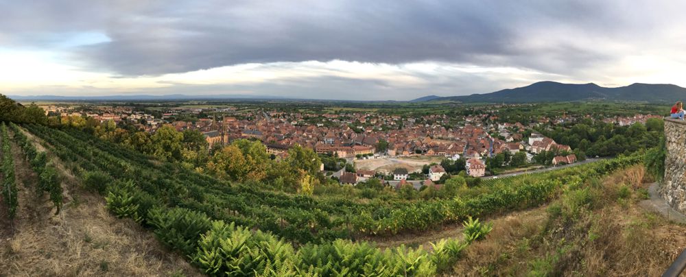 Abendlicher Blick vom Gedenkort Malgré-nous über Obernai und die Weinberge. Abendlicher Blick vom Gedenkort Malgré-nous über Obernai und die Weinberge.