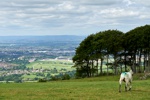 Blick vom Cleeve Hill über Cheltenham Richtung Westen.