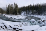 Die Sunwapta Falls zwischen den verschneiten Bäumen laden nicht zum Baden ein.