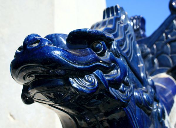 Drachen gibts an jeder Ecke. Drachen gibts an jeder Ecke.