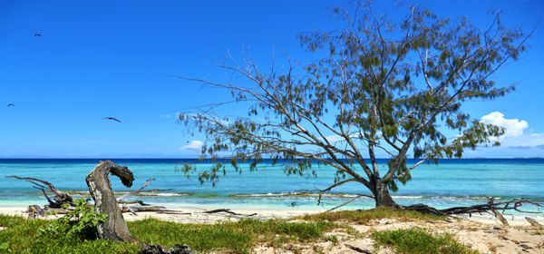 Spaziergang über Lady Musgrave Island im südlichen Great Barrier Reef.