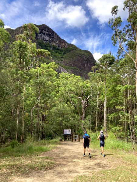 Der Mount Beerwah erhebt sich mächtig über den Picknick Platz. Der Mount Beerwah erhebt sich mächtig über den Picknick Platz.