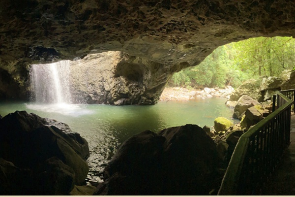 Die Natural Bridge im Springbrook Nationalpark.