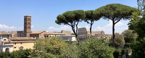 Blick vom Palatin zum Kolosseum mit ein paar wenigen schattenspendenden Pinien.