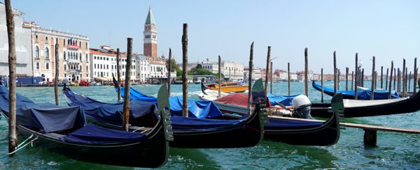 Venezianische Gondeln mit Blick über den Canale Grande zum Markusturm.