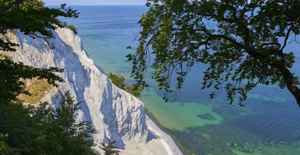 Die mächtigen Kreidefelsen auf der Insel Møns in der Nachmittagssonne.