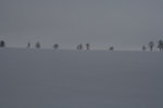 Winterstimmung