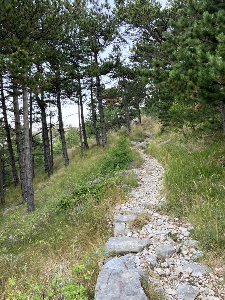 Aufstiegsweg - anschließend durch den Wald. Aufstiegsweg - anschließend durch den Wald.