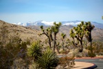 Joshua Trees, karge Wüste und schneebedeckte Berge.