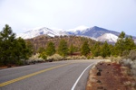 Blick vom Sunset Crater Vulcano National Monument zu den San Francisco Peaks.
