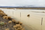 Neben der Straße steht, fließt und sammelt sich das gelbbraune Wasser.